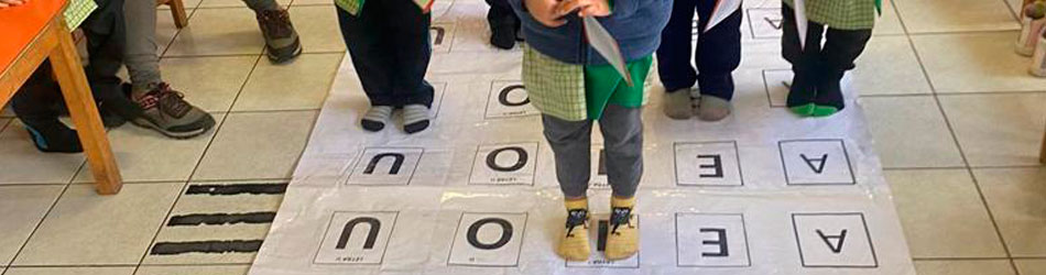 Contamos con Autorización Normativa RBD 41239-2